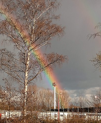 regenbogen